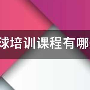 《中国青少年篮球训练教学大纲(2013版)》